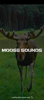 moose sounds Affiche