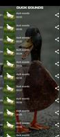 duck sounds ảnh chụp màn hình 1