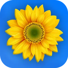 Gallery - Photo gallery, Gallery vault APK Herunterladen