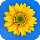 Gallery আইকন
