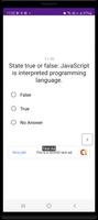 Programming Quiz Screenshot 2