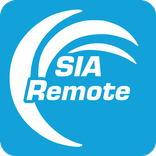 Secure Internet Access Remote