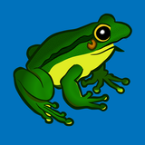 Frog and flies icon