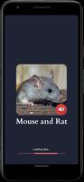 マウスとラットの音 スクリーンショット 3