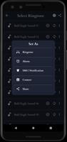 Bald Eagle Sounds screenshot 3