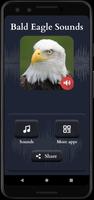 Bald Eagle Sounds screenshot 1