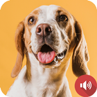 Barking Dog Sounds icon