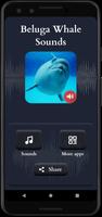 Beluga Whale Sounds screenshot 1
