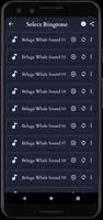Beluga Whale Sounds screenshot 2