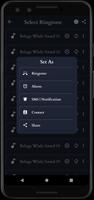Beluga Whale Sounds screenshot 3