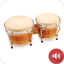 Bongo Drum Sounds APK
