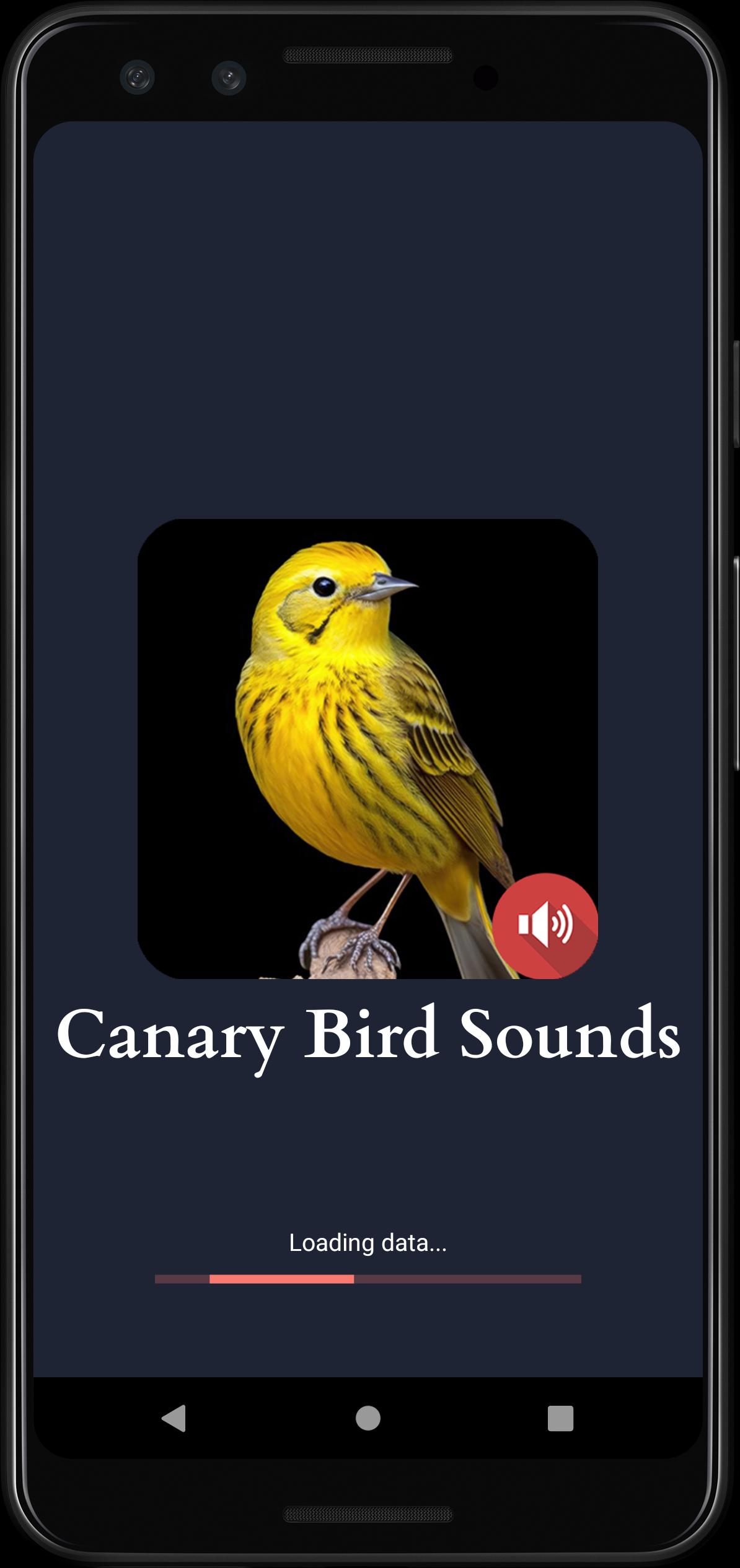 Android canary Android canary