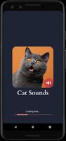 Cat Sounds poster