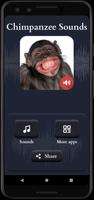 sonidos de chimpancé captura de pantalla 1
