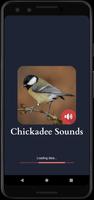 پوستر صداهای chickadee