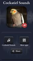 Cockatiel Sounds screenshot 1