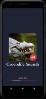 Crocodile Sounds poster