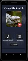 Crocodile Sounds screenshot 1