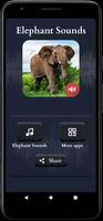 Olifant geluiden screenshot 1