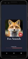 狐狸的声音 海报