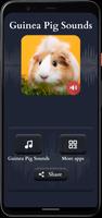 Poster suoni di cavia
