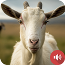 ヤギの鳴き声 APK