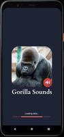 Gorilla Sounds poster