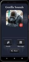 Gorilla Sounds screenshot 1