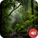 Jungle Sounds APK