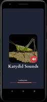 Sons Katydides Affiche
