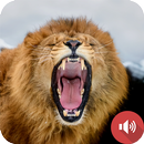 ライオンの音 APK