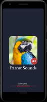 sons de perroquet capture d'écran 3
