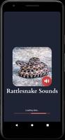Rattlesnake Sounds poster