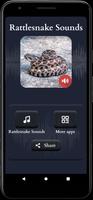 Rattlesnake Sounds screenshot 1