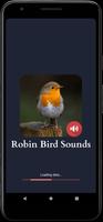 Robin Sounds bài đăng