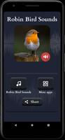 Robin Sounds ảnh chụp màn hình 1
