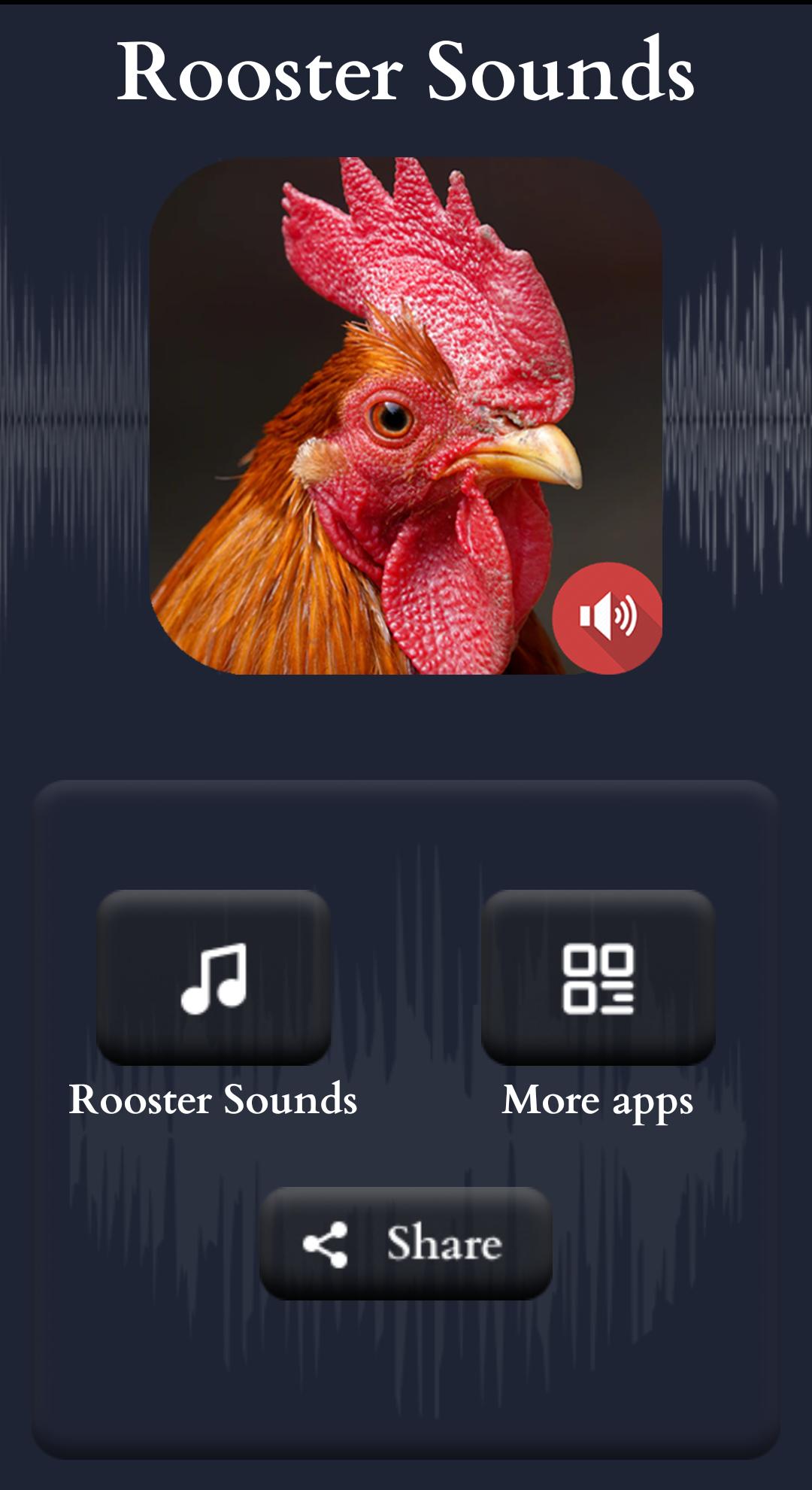 Аудио петухов. Звук петуха. Rooster Sounds. Звук петуха слушать. Звуки игры петух.