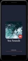 Sea Sounds screenshot 3