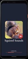 Squirrel Sounds 截圖 3