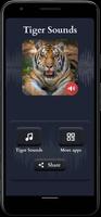 sons de tigre Cartaz