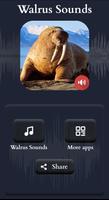 Walrus Sounds screenshot 1