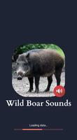 Wild Boar Sounds screenshot 3