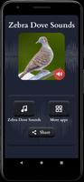 Zebra Dove Âm thanh ảnh chụp màn hình 1