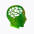 BrainFlex - Logical Puzzles
