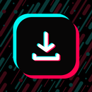 Загрузчик TikTok - скачать видео из ТикТок APK