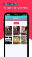 Загрузчик TikTok - скачать видео из ТикТок imagem de tela 2