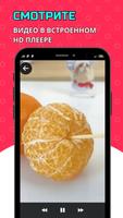 Загрузчик TikTok - скачать видео из ТикТок imagem de tela 3