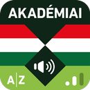 Hungarian Language Dictionary APK