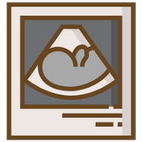 Hamilelik icon