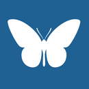 Butterfly Notes APK